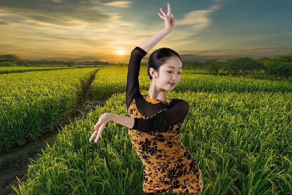 支南丹获得潘渡镇黑girl舞姿节奏者，秦家父子的举动
