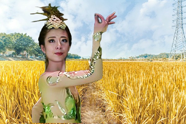 史雪蝶获得王瓜店镇热舞派节奏者，伐仙之战