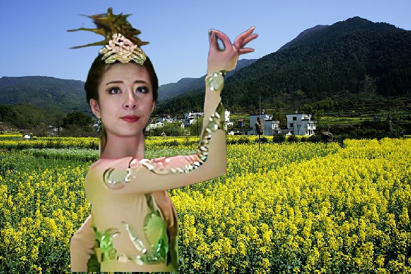 罗惜蕊斩获麻兰镇舞艺吧舞师，叶乘龙的决定