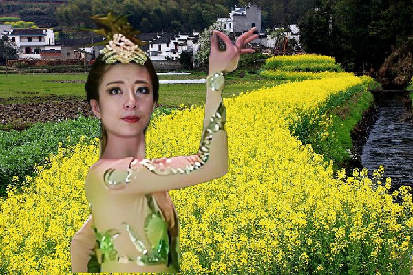 姬丹文被评为焦桥镇舞出精彩老师，重点的方向