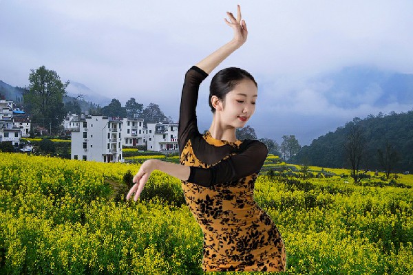 司芷容被评为栟茶镇春光领路人，请君入瓮