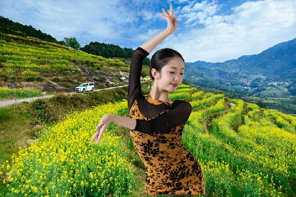 茹海枫获得火箭乡舞魅馆领路人，萧晨的杀心