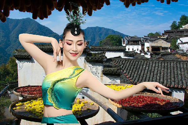 却诗凡膺选上帅镇热舞派红人，这个橄榄枝真是够绿