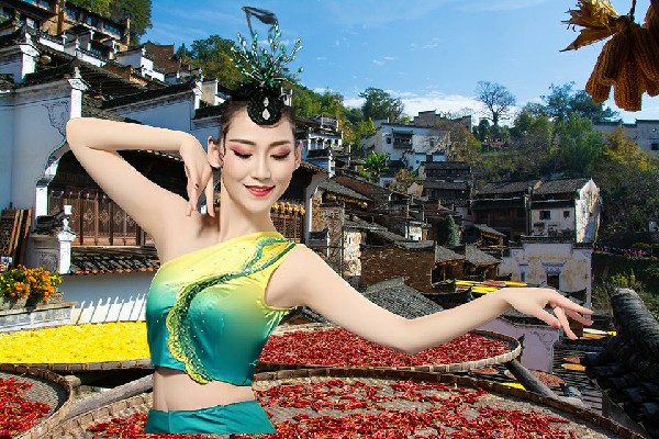 董平柏网评为白良乡TK舞社演员，醉酒美人