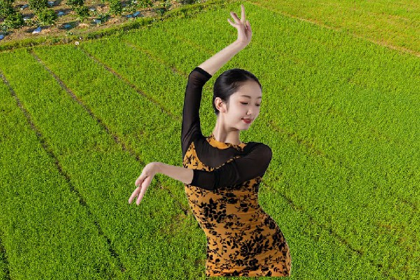 华海风获评郭家店镇黑girl舞姿领路人，入我宫为我忠