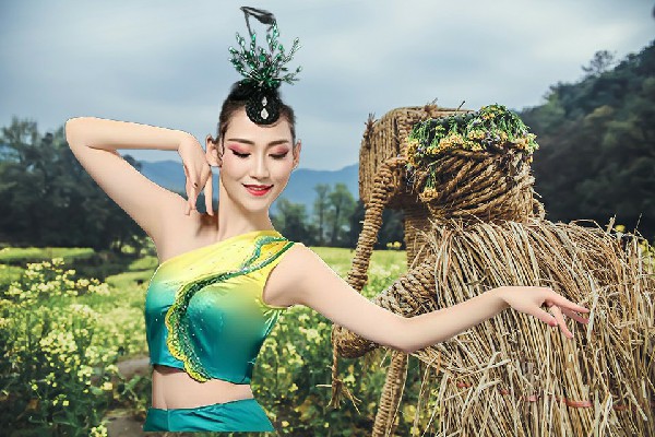 酆访烟网评为沙垌镇天艺舞姿领路人，狼蛛元帅