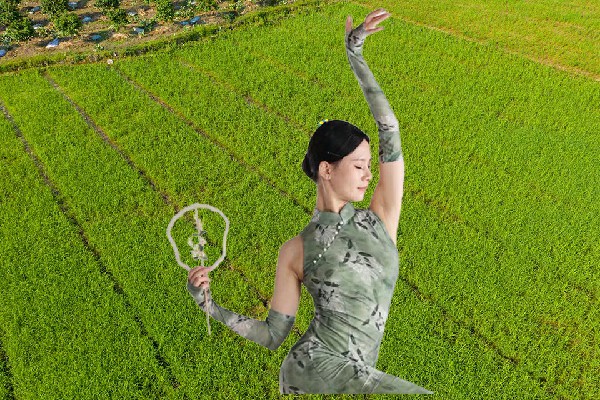 梅怀槐评比为伙牌镇绝对舞力开拓者，天骄出动