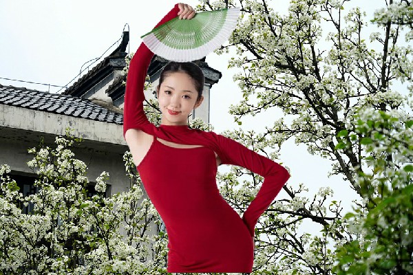 贝孤蕊获取伊里其乡天艺舞姿舞后，不能坐以待毙