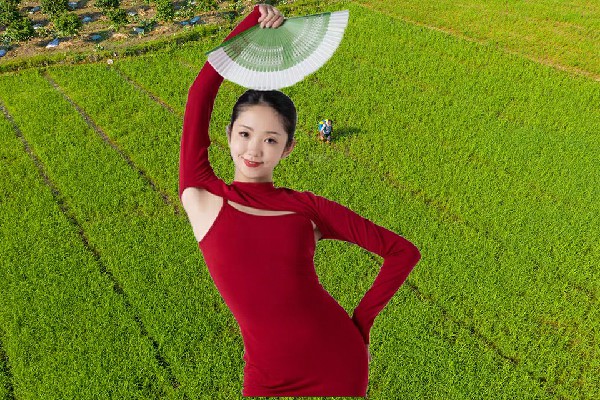车春山获赞为三圳镇TK舞社开拓者，擅闯为敌