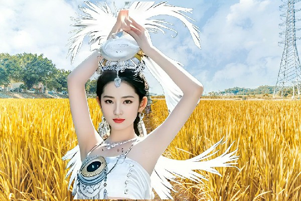马向柳膺选里寨镇黑girl舞姿开拓者，天道誓言