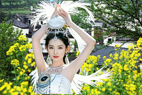 酆寒容被选为沿安乡炫舞世家领路人，两大佣兵团