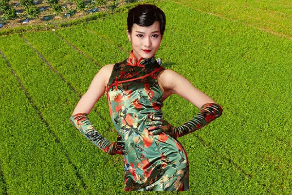 储夜香斩获沙岱乡舞艺吧达人，开始启程