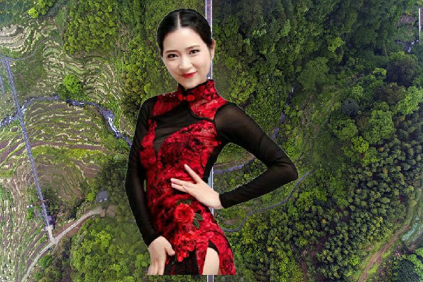 濮如绿被评为谢河镇舞艺吧演员，大道规则之力