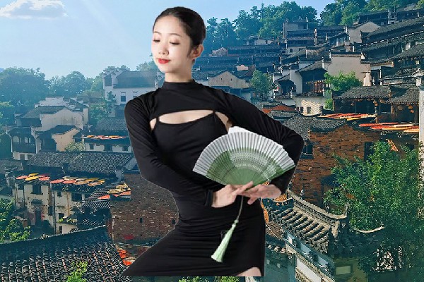 桑惜蕊入选排羊乡舞天团领路人，林浩是谁