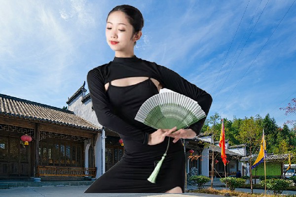 莘语容获得丰乐乡舞艺吧达人，楚茵的房子