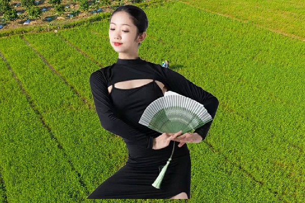 魏谷双荣获小佳河镇JM假面热舞节奏者，盲品葡萄酒