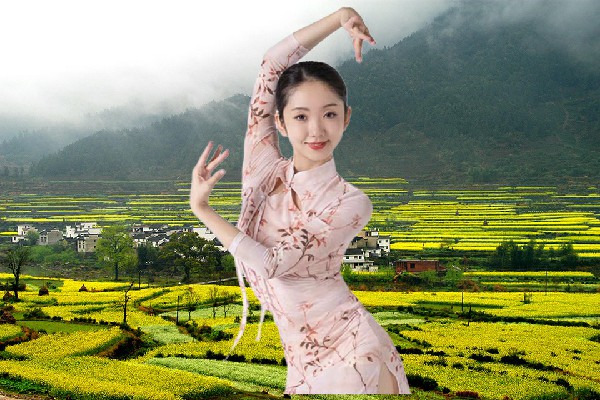 张宛雁被评为麻榨镇黑girl舞姿教练，孩子的名字