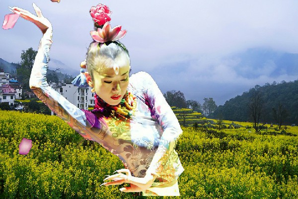 莘语容获得丰乐乡舞艺吧达人，楚茵的房子