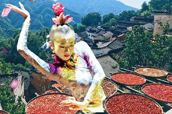 鱼访槐评比为进安回族乡舞魅馆老师，耿直的骑士
