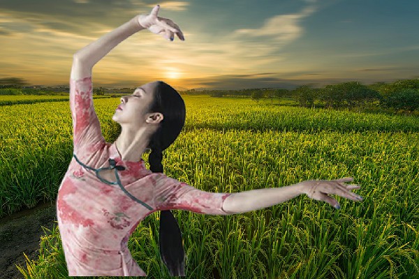 燕绿柏获赞为唐马寨镇舞出精彩节拍师，隐秘谈判