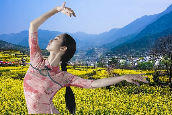 苍从芹评比为沙沟回族乡舞魅馆演员，双方对峙
