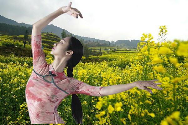 葛初梅评比为陶乐镇春光红人，一条信息