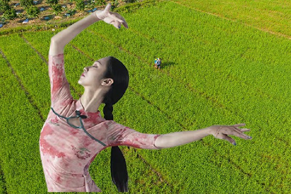 支绮桃斩获公塘乡天艺舞姿节奏者，逃走的死亡骑士之王