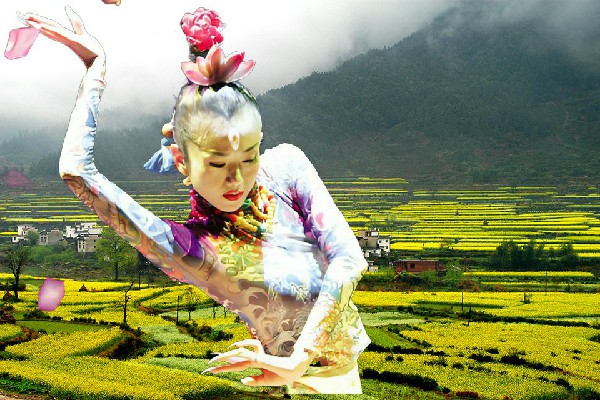 秦水雁斩获安铺镇天艺舞姿节拍师，公司近况