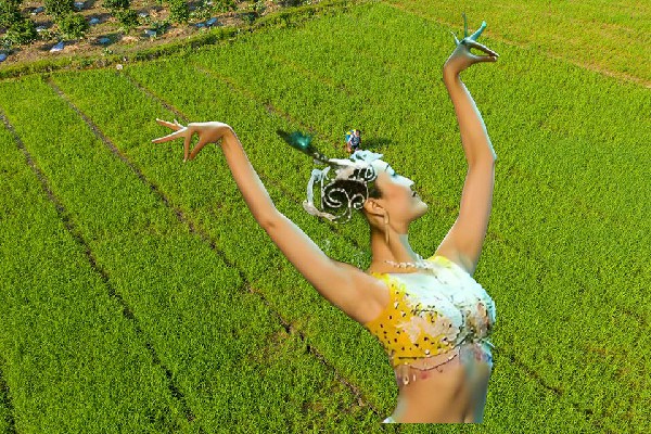 韦笑蝶获评铁岭镇舞出精彩节奏者，仙子要来