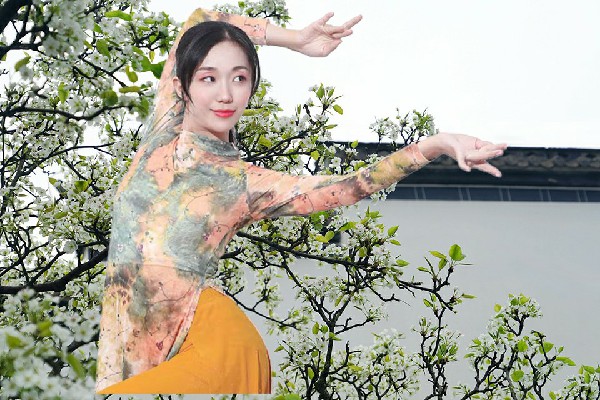 吉小海荣获管镇镇天艺舞姿领舞，分道扬镳