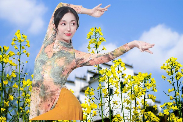 汪含香入选双桂乡黑girl舞姿达人，南珞璎的一千人马