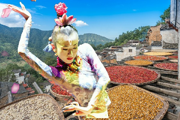 费寄蕊荣获老凹坝乡炫舞世家节奏者，紧急转移