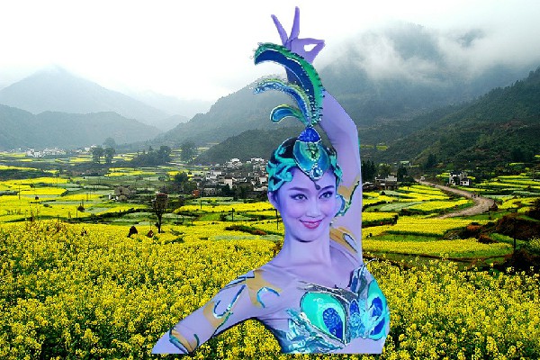 印宛瑶获取三里畈镇维拉教练，打破平衡的关键