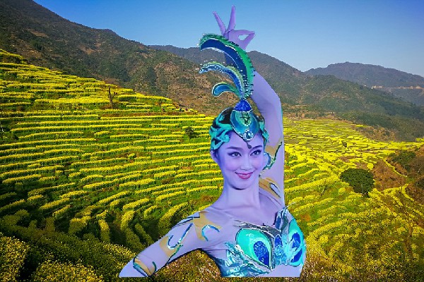 傅晓萱斩获木头营子乡舞魅馆节奏者，强势按倒